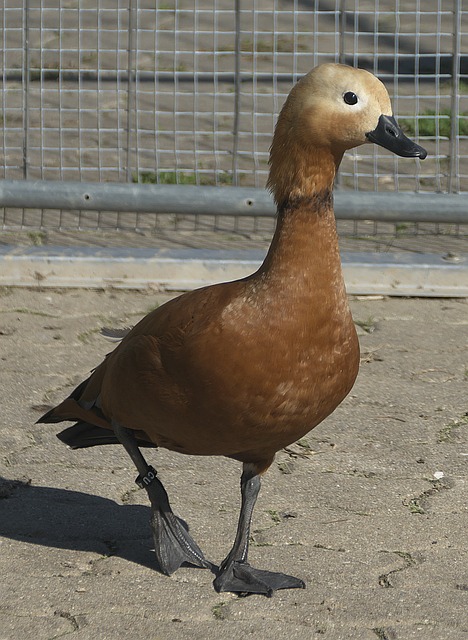 尤其是在比