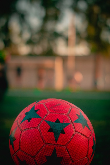 与同龄竞争 与同龄竞争