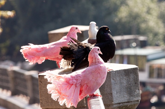 区中有更多 区中有更多